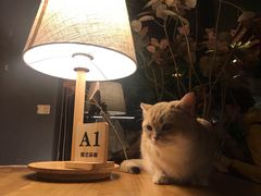 -咖法森林·咖啡  酒吧(天河店)