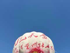 -曹州牡丹园