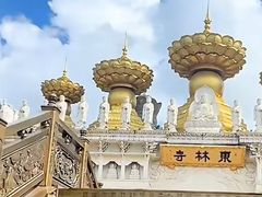 -上海东林寺(金山区)