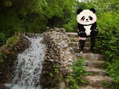-静之湖度假区