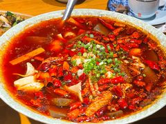 特色毛血旺-青城甲(青城山店)