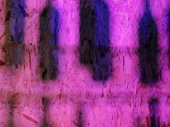 景观位-蒙料·手把肉(望京店)