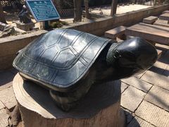 -青岛崂山太清宫