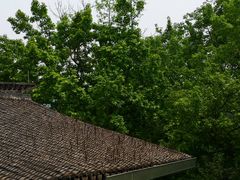 -楼外楼(玉泉店)