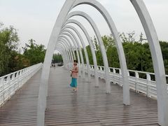 -大兴滨河森林公园