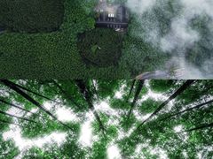 -山王坪喀斯特国家生态公园
