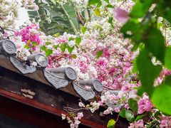 -深圳国际园林花卉博览园