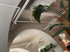 -长春藤咖啡(北园店)