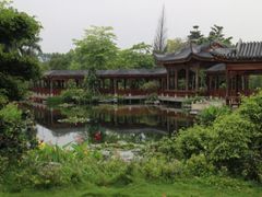 -大湾区中央湿地公园