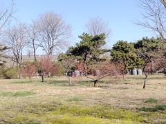 -中国人民抗日战争纪念雕塑园