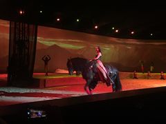 -cavalia·舞马