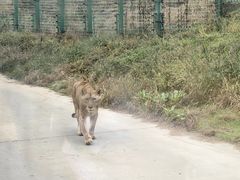 -西安秦岭野生动物园
