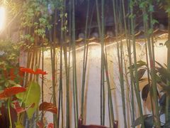 -郭氏沙坝鱼庄＆白族特色菜