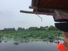 -白洋淀景区