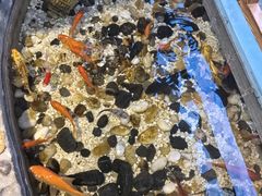 -醉霖生态餐厅(交大店)