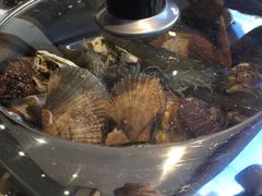 -海岛渔村大酒店(云霄路店)