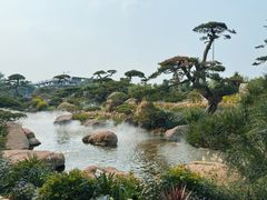 -罗红摄影艺术馆