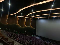 -万象影城(杭州万象城IMAX激光店)