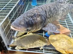 -黄弟大排档·湖南菜·小龙虾·小海鲜(凯旋北路店)