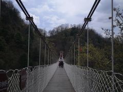 -塔云山
