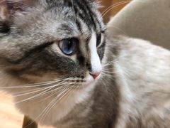 -白兔子密室(长寿路店)