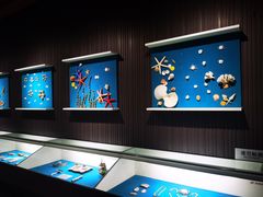 -青岛贝壳博物馆