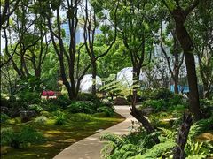 -北外滩滨江绿地