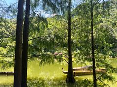 -深圳仙湖植物园