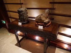 -常州环球恐龙城维景国际大酒店