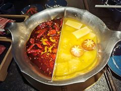 台式麻辣花胶鸡鸳鸯锅-湊湊火锅·茶憩(世博大道店)