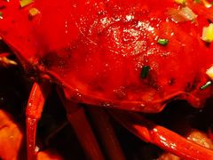 -胖哥俩肉蟹煲(虹口龙之梦店)