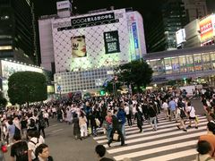-涩谷全向十字路口