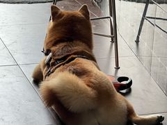 -HANA COFFEE(长寿路店)