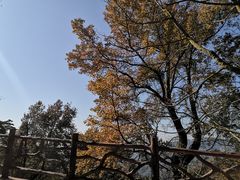 -广州市石门国家森林公园