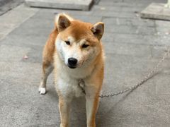 -飞马旅黎黄陂路文旅街区