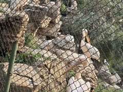 -石家庄市动物园