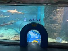 -福州罗源湾海洋世界旅游区