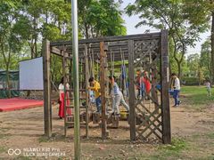 -上海海湾国家森林公园