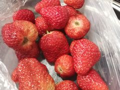 -光明清汤羊(宝业路店)