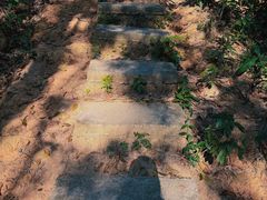 -火炉山森林公园