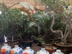 -天发长铁锅炖(王秀村店)