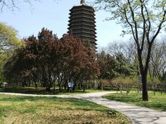 -玲珑塔公园