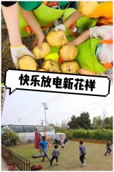 -麦粒鸟亲子游