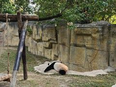 -上海野生动物园