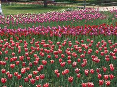 -长春公园(普阳街道)