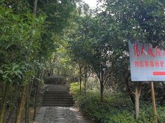 -庐山碧龙潭风景区