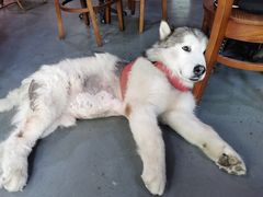 -红糖商店复古咖啡酒馆