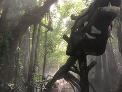 -青青世界