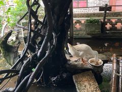 -优之名鹅城