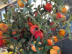 -汉水谣·江景餐厅(江滩店)